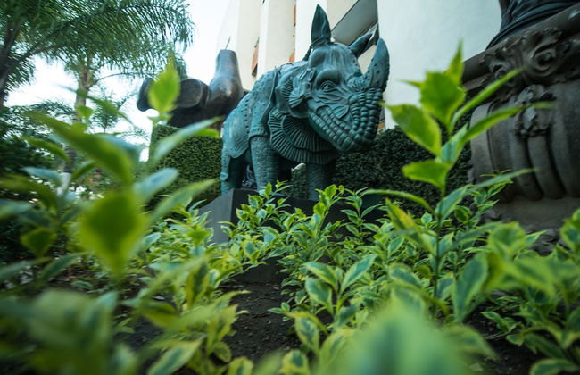 European Life Style Executive Suites & Gallery - Foto 79