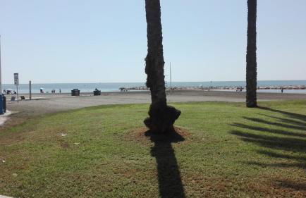 Apartamentos Angelita Plaza Beach - Photo 30