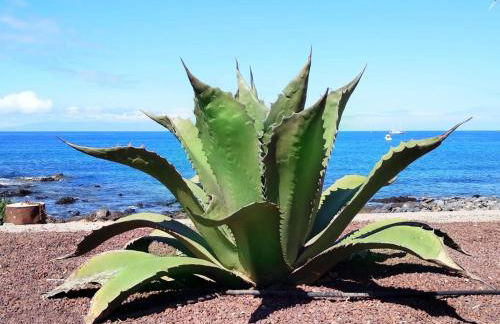 Ocean View Elegant Magic Apartment - Foto 40