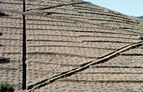 Charmant séjour au cœur des vignes de Banyuls - Foto 39