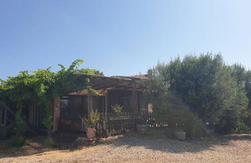 Country House - Photo 20