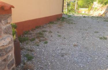 Feral - Foto 18