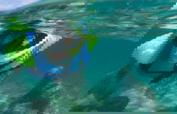 MUSA Snorkeling Tour - Foto 8