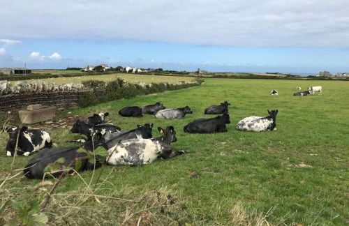17th Century Traditional Tintagel Farmhouse with Hot Tub - Foto 26