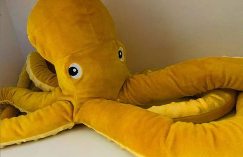 AHOI MARIE - Foto 14