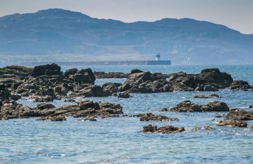 Dryll y Gro - Foto 63