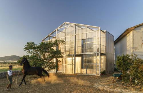 Anonima Agricola - Foto 7