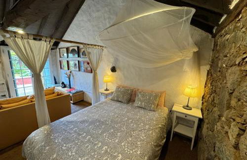 Finca La Principal - Foto 15