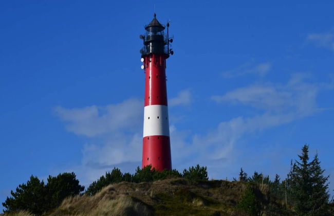 Ferienpark Markgrafenheide - Foto 17