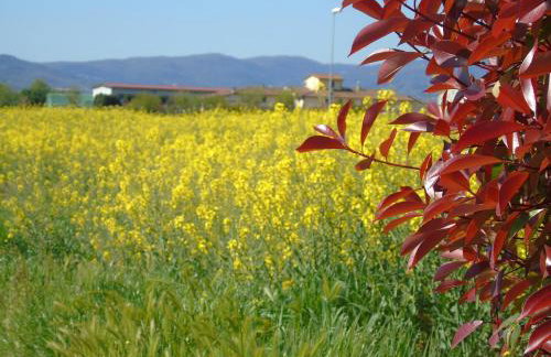 Fienile Paradiso Home Tuscany - Photo 42