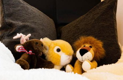 Auszeit-Wohnungen - Foto 34