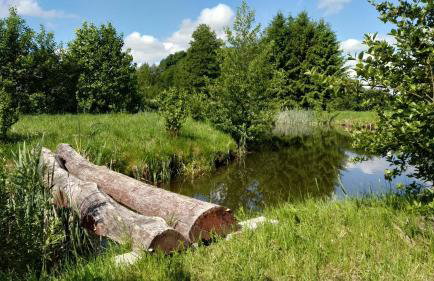Brzozowy Zakątek - Foto 21