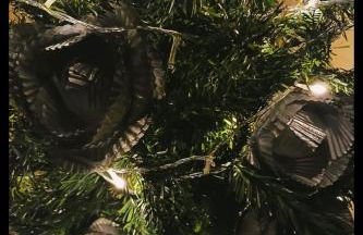 Casa Amarela Ecoloft Brasil 88 - Foto 46