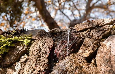 Aegean Serenity - Sea View Retreat - Foto 42