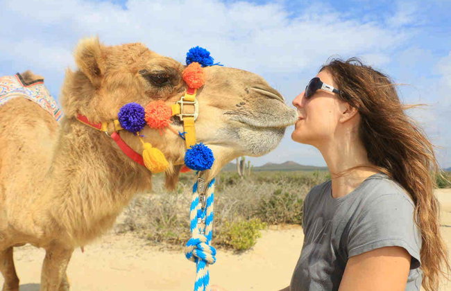 Paseo en camello por el desierto de Los Cabos - Foto 3