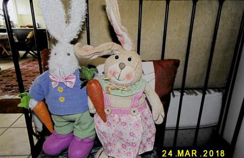 Spacious Apartment - Foto 14