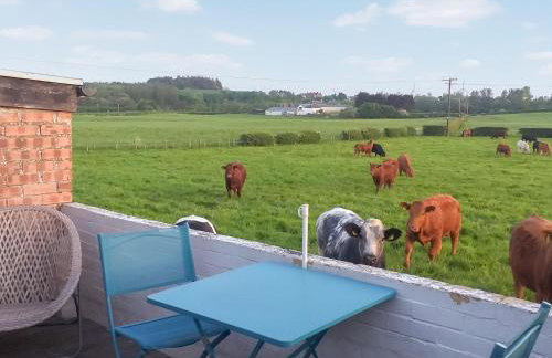 Honeysuckle Cottage - Foto 15