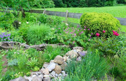 Landsitz Rocky Docky - Foto 29