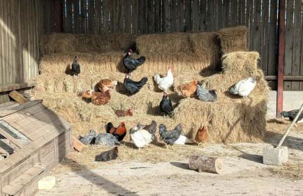 The Coach House, Yealand Redmayne perfect for a family in a rural setting, bring your dogs and horse - Photo 33