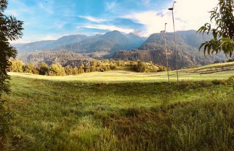 Appartamenti Pichler - Foto 52