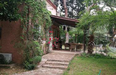 Villa with big garden - Foto 53