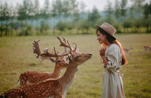 Jurta w Dolinie Sanu - Foto 15