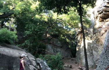 Hidden Treasure Harvest House Forest Getaway 30 Min. West of Fort Worth - Photo 7