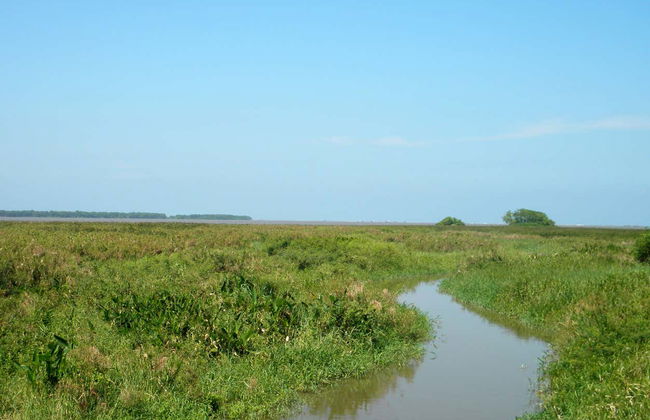 Salamanca Island Road Park Hiking Tour - Foto 4