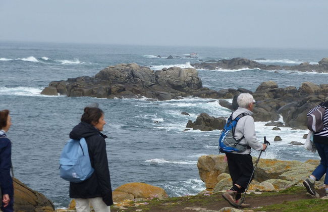 180deg Panoramic sea View, Apartment, Roscoff - Foto 25