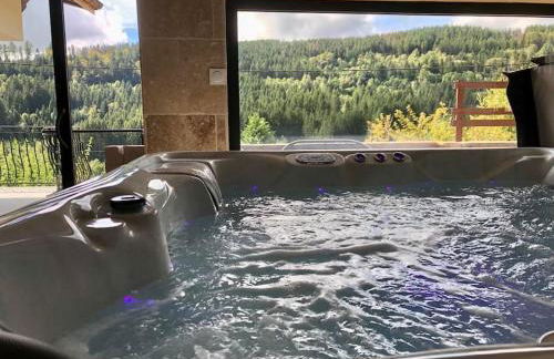 Les Fougères 12 personnes SPA/SAUNA - Foto 1