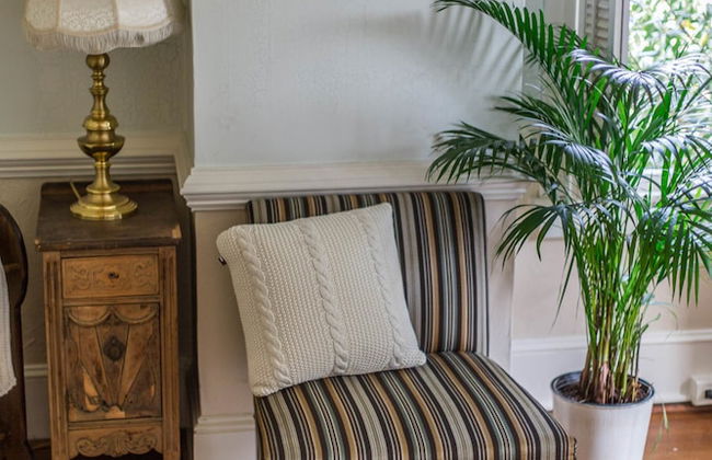 Garden Oasis Near Downtown - Photo 20