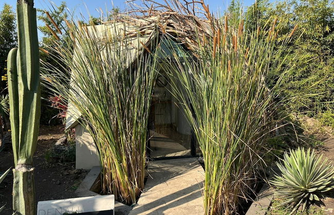 Bosque Geométrico - Photo 30