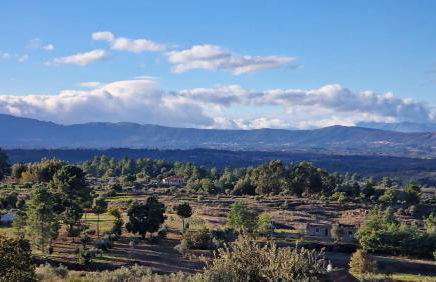 Casa da Laje - Casas BemHaja - Foto 22