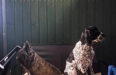 Daleko od Szosy - Foto 42