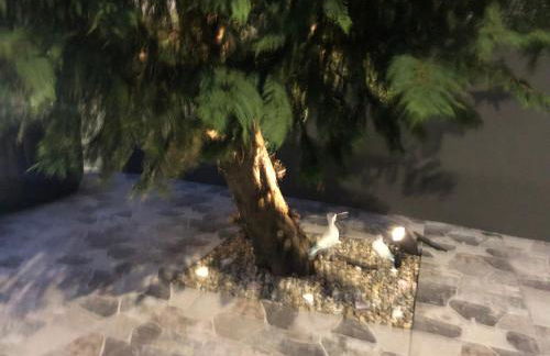 Casa de Vivian and Michael - Photo 9