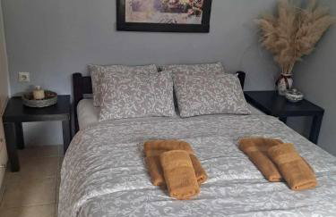 ALLEGRO HOME - Photo 5