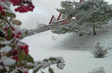 Bieszczadzki Bohater Domki 533-502-137 - Photo 4