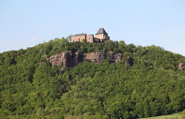 Bos en Kasteel - Foto 16