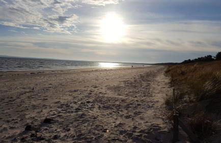 Ferienhäuser Hühnergott und Kranichnest, Sauna, Kamin und Garten - Foto 33