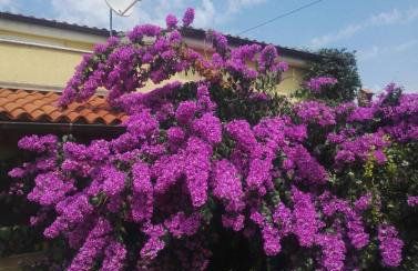 Apartment Samanta - Foto 4