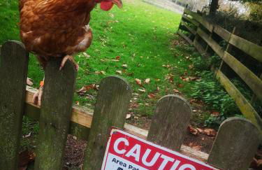 Gites Ferme de la Baie - Foto 43