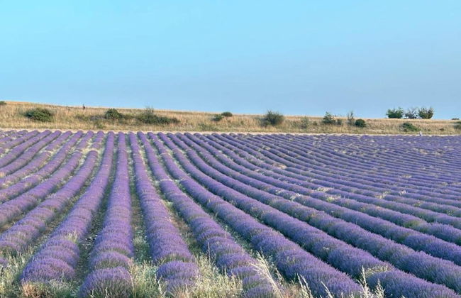 A Beautiful 2 Persons Studio in a Chateau With Swimming Pool - Foto 73