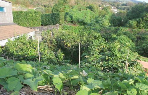 Quinta do Areeiro - Foto 39