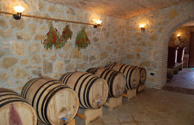 Agriturismo Olivastrella - Foto 44