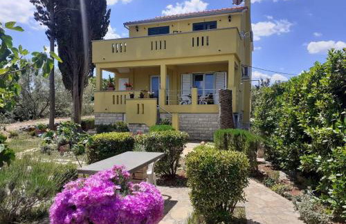 Apartment Brane - Photo 1