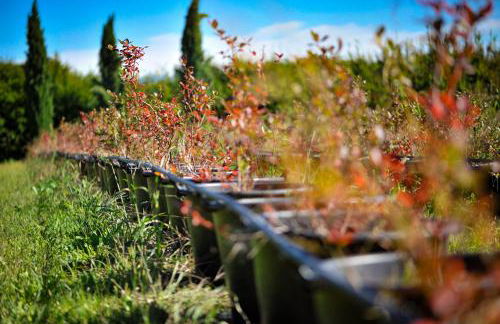 Agriturismo Olistico Atman - Foto 40