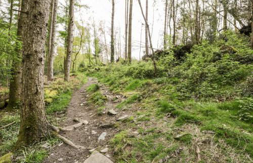 Crud yr Awel - Photo 29