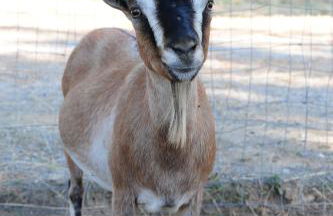 La Casa Colonica wine and oil - Foto 28