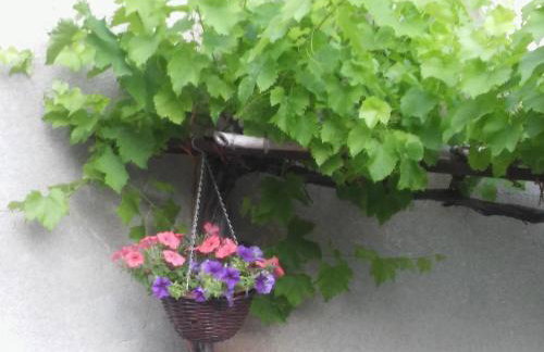 Apartment Staleta Tartuf - Foto 16