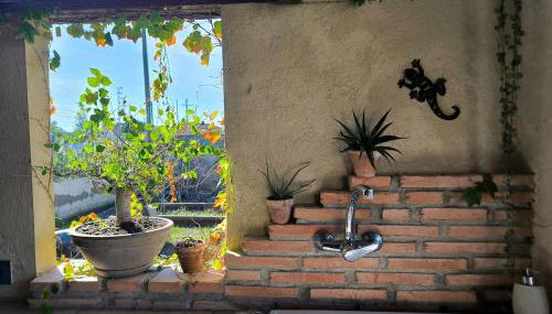 Casa del Olmo - Photo 3, Garden, Garden view